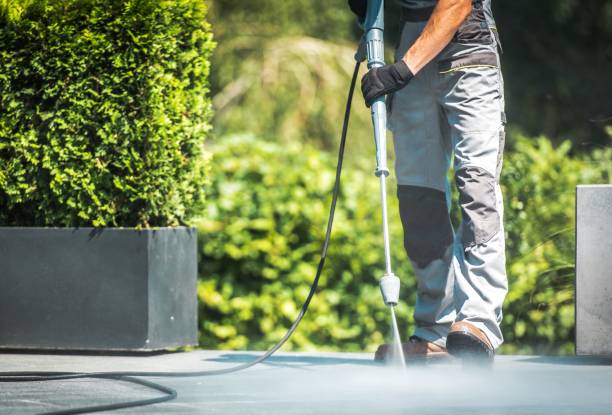 Best Fence Cleaning  in Winchester, VA