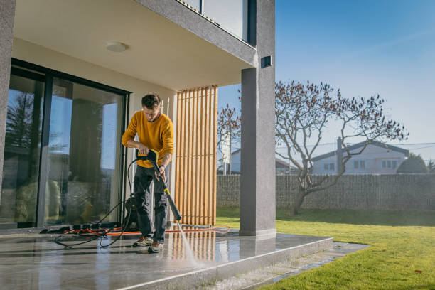 Best Sidewalk and Walkway Cleaning  in Winchester, VA
